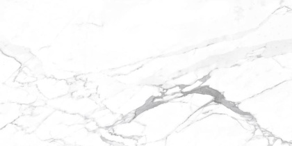 Carrara Terrific Silver Керамогранит белый 60х120 Матовый Carrara Terrific Silver Керамогранит белый 60х120 Матовый