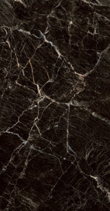 PGT1206010105MGR Керамогранит Zebrano_PGT Черн. 60x120 _ 1\46,08