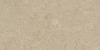 Керамогранит NP02 30,6x60,9x8 Непол.