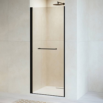 Душевая дверь RGW PA-103B, RGW 020810309-14